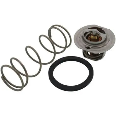Raypak 062234B Unitherm Governor Kit for Pool Heaters