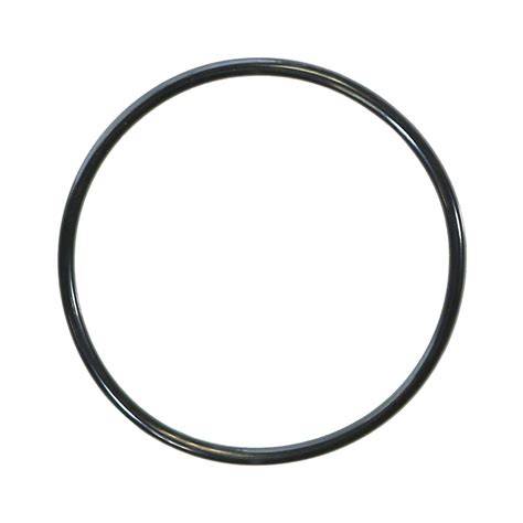 Aladdin O-395 Replacement Diffuser O-Ring for Pentair SuperMax SuperFlo 355030