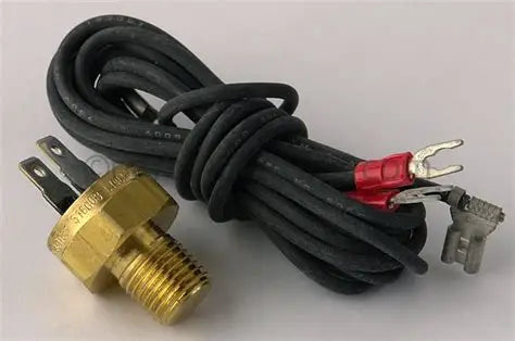 Raypak High Limit 140F Auto Reset Switch 600893B for Low NOx Heaters