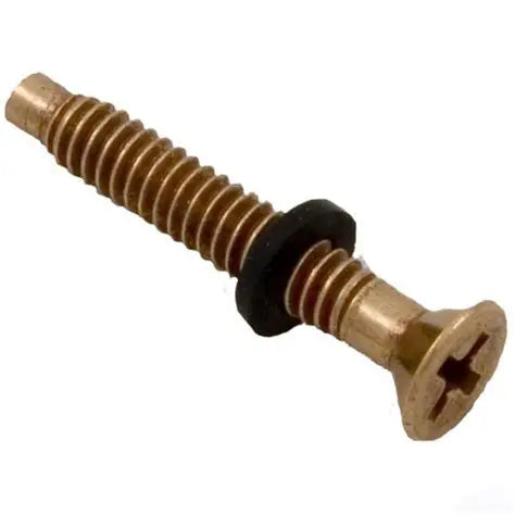 Pentair 79104800 Brass Pilot Screw with Captive Gum Washer for Pool Lights