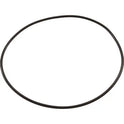 Aladdin O-521 Seal Plate O-Ring for Jandy Pumps R0446300