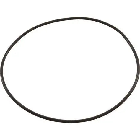 Aladdin O-521 Seal Plate O-Ring for Jandy Pumps R0446300