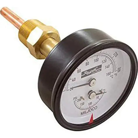 Raypak 007399F Temperature and Pressure Gauge Kit 0-200 PSI