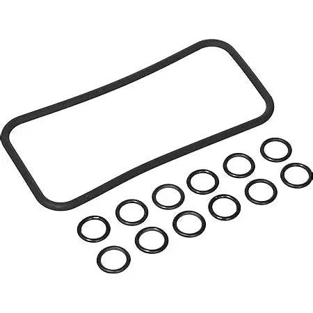 Pentair 77707-0120 Manifold O-Ring Kit for MasterTemp Max-E-Therm Heaters