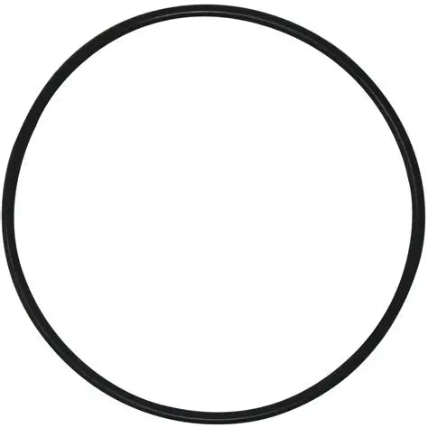 Swimables Tank O-Ring for Hayward Filters DEX2400K SW-27-429