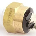 Pentair 42002-0025S Gas Shut-Off Switch for MasterTemp Max-E-Therm