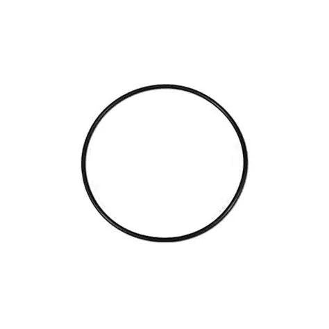 Magic Plastics 0301-154 replacement O-ring for 2-inch spring check valve