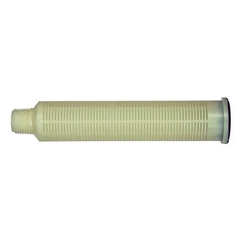 Pentair Filter Lateral 152290 for Tagelus Sand Dollar Triton