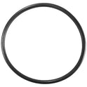 Aladdin Filter Handle O-Ring for Waterway Crystal Water Filters 805-0233 O-244