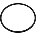 Swimables Pentair WhisperFlo IntelliFlo Lid O-Ring 350013 SW-80-436