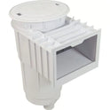 Waterway Commercial In-Ground Renegade Pool Skimmer 540-6200