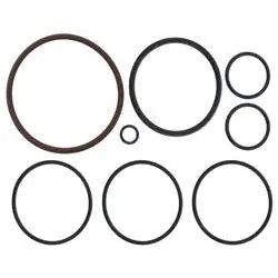 Jandy Fusion Soft Salt System O-Ring Kit R0502500