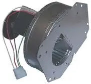 Raypak Combination Air Blower 010042F for 407A Low Nox Pool Heaters - Detail View