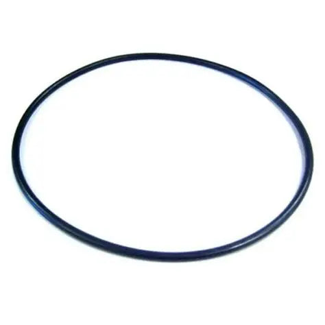 Pentair 355619 seal plate O-ring for SuperMax and SuperFlo pool pumps