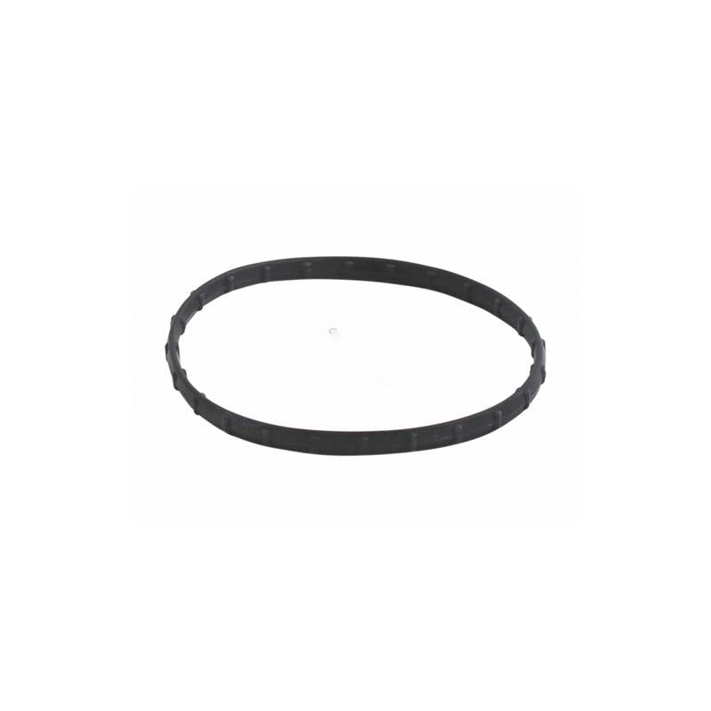 Pentair 178746Z union diamond seal for Clean and Clear RP pool filters