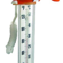 Pooline Gold Fish Swimming Pool Thermometer 11083I Lifestyle View