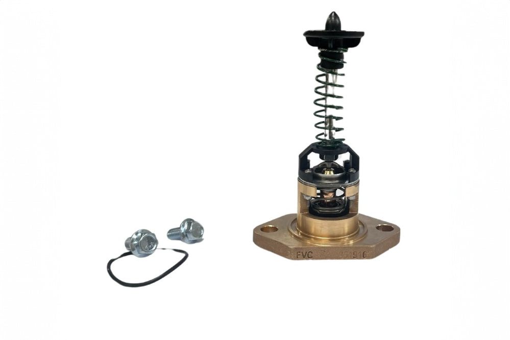 Raypak 018758F governor bypass assembly showing valve and fittings detail