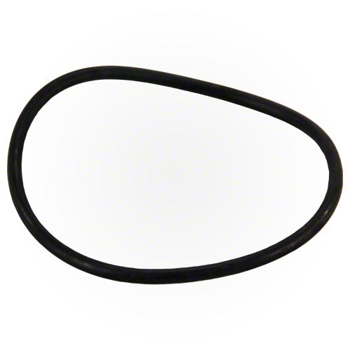 Jandy Lid O-Ring R0480200 FloPro Pump Seal Detail