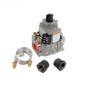 Raypak Electronic Combination Propane Valve 004306F for IID Heaters - Product Detail