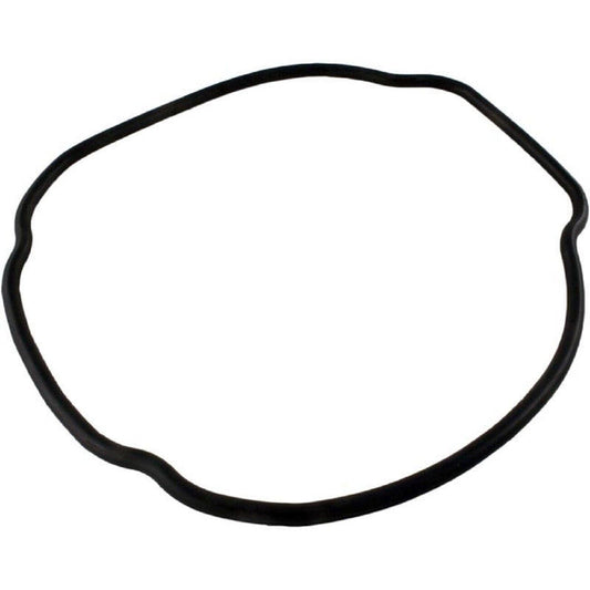 Aladdin O-529 Replacement Housing O-Ring for Hayward TriStar EcoStar SPX3200T