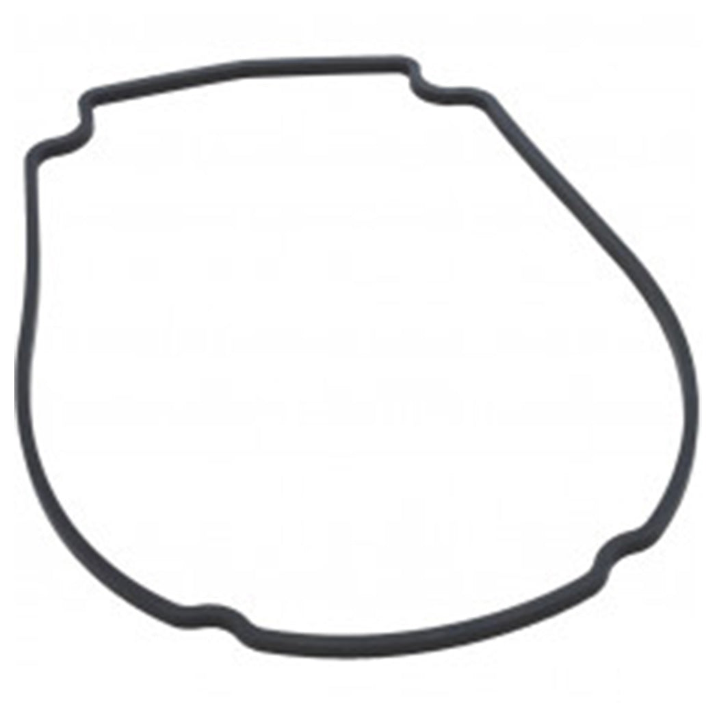 Waterway Faceplate Gasket for Mustang Econ Flo and Champion Pumps 806-1400