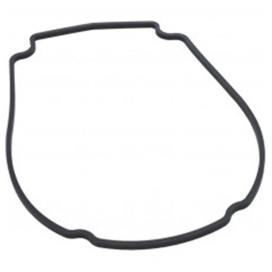 Waterway Faceplate Gasket for Mustang Econ Flo and Champion Pumps 806-1400