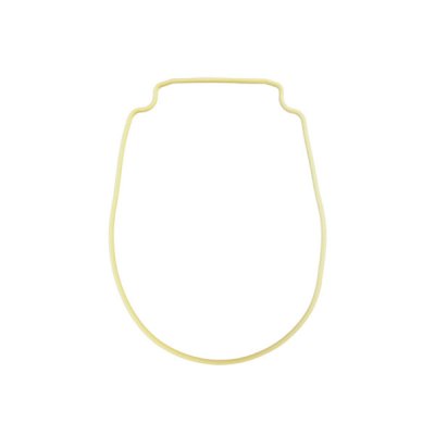Pentair WhisperFlo IntelliFlo Pump Seal Plate Gasket 357102 Almond Installed View