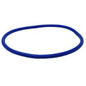 Pentair 356189Z Lid O-Ring Diagram for Intelliflo3 VSF Pump