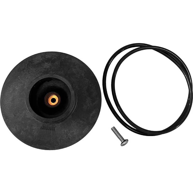 Jandy Pump Impeller R0807200 Detailed View