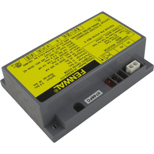 Pentair DDTC Ignition Control Module for MiniMax NT TSI 472150