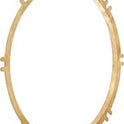 Pentair 79211600 Brass Mounting Ring for Pool Light Niches