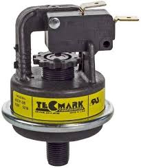 Pentair MasterTemp Max-E-Therm Water Pressure Switch 42001-0060S