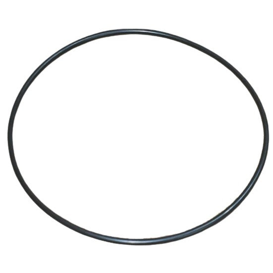 Pentair Body O-Ring 87300400 for Pool Filters