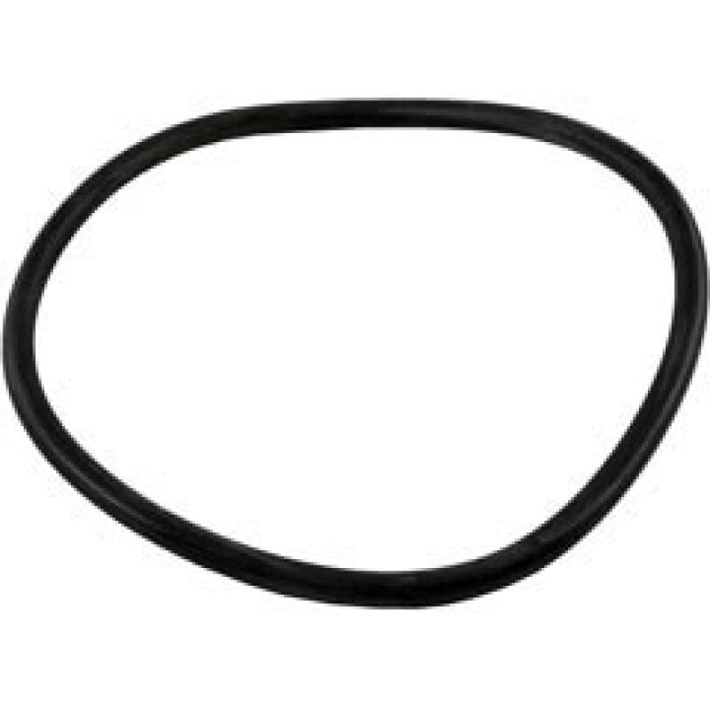Jandy Lid O-Ring R0480200 for FloPro Pumps