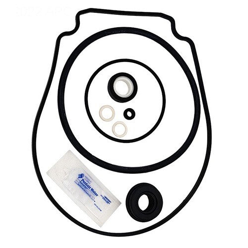 Pentair Swimming Pool Pump Seal Set Kit For WhisperFlo and IntelliFlo Pumps | 356198